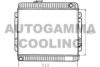 FORD 6067408 Radiator, engine cooling